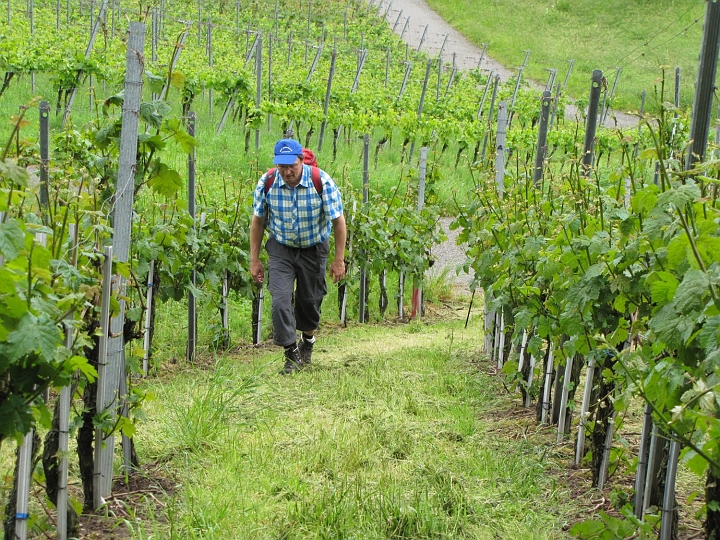 Wanderung 2013_074.jpg